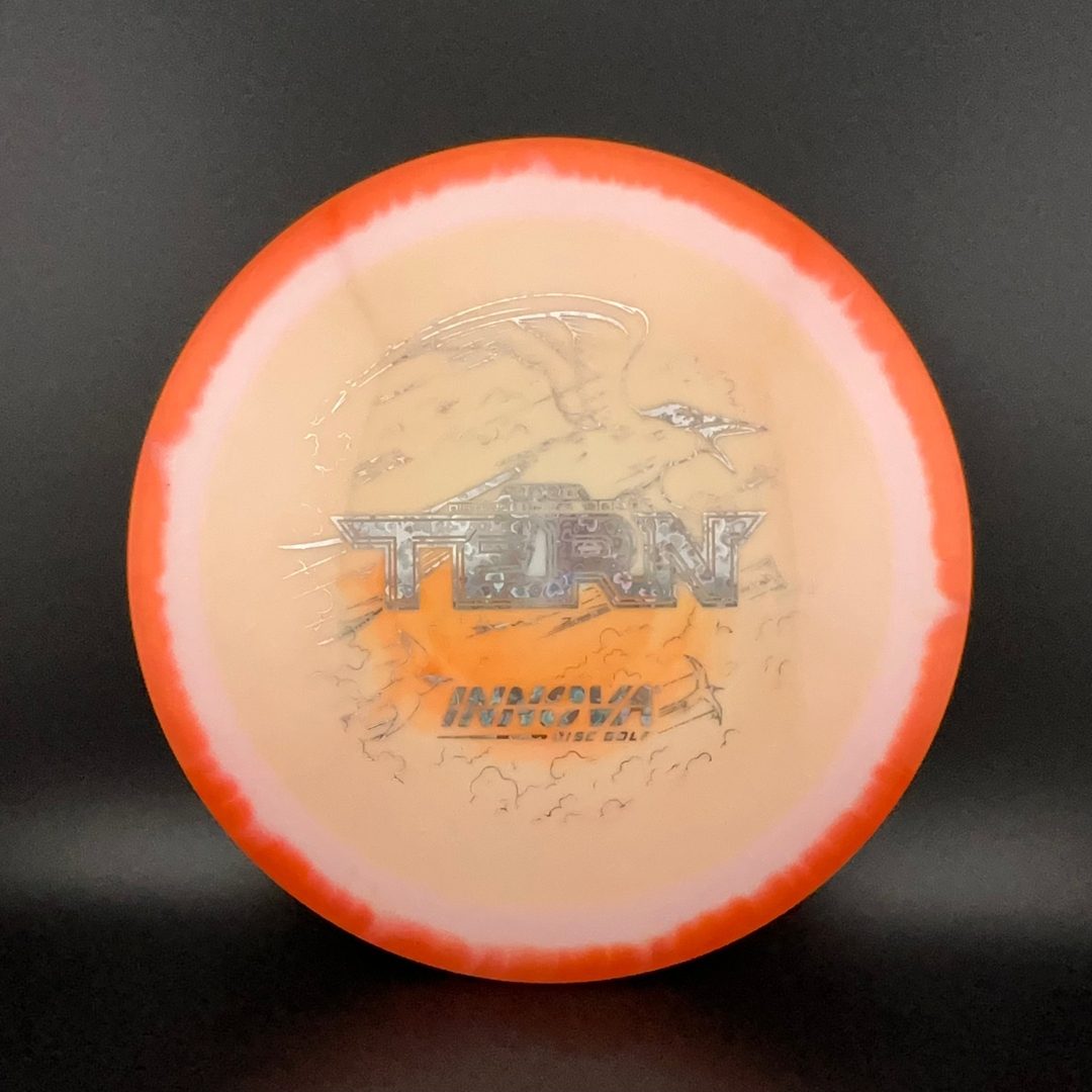 Halo Star Tern