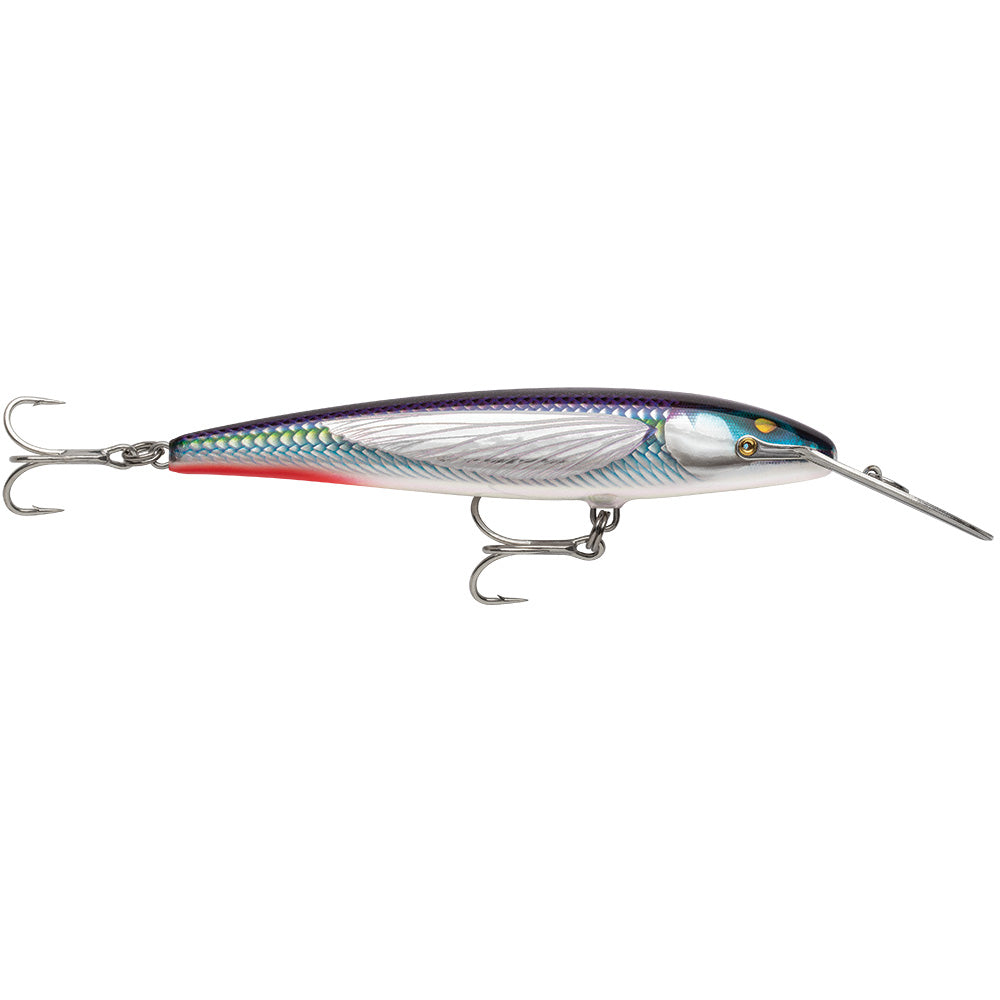 Rapala CountDown Magnum Elite 185 - 7" - Armored Flying Fish UV
