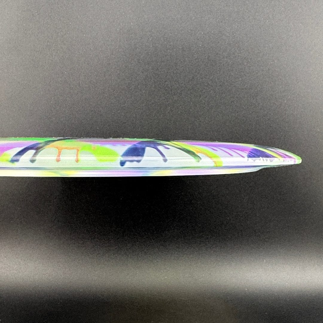 I-Dye Champion Tern