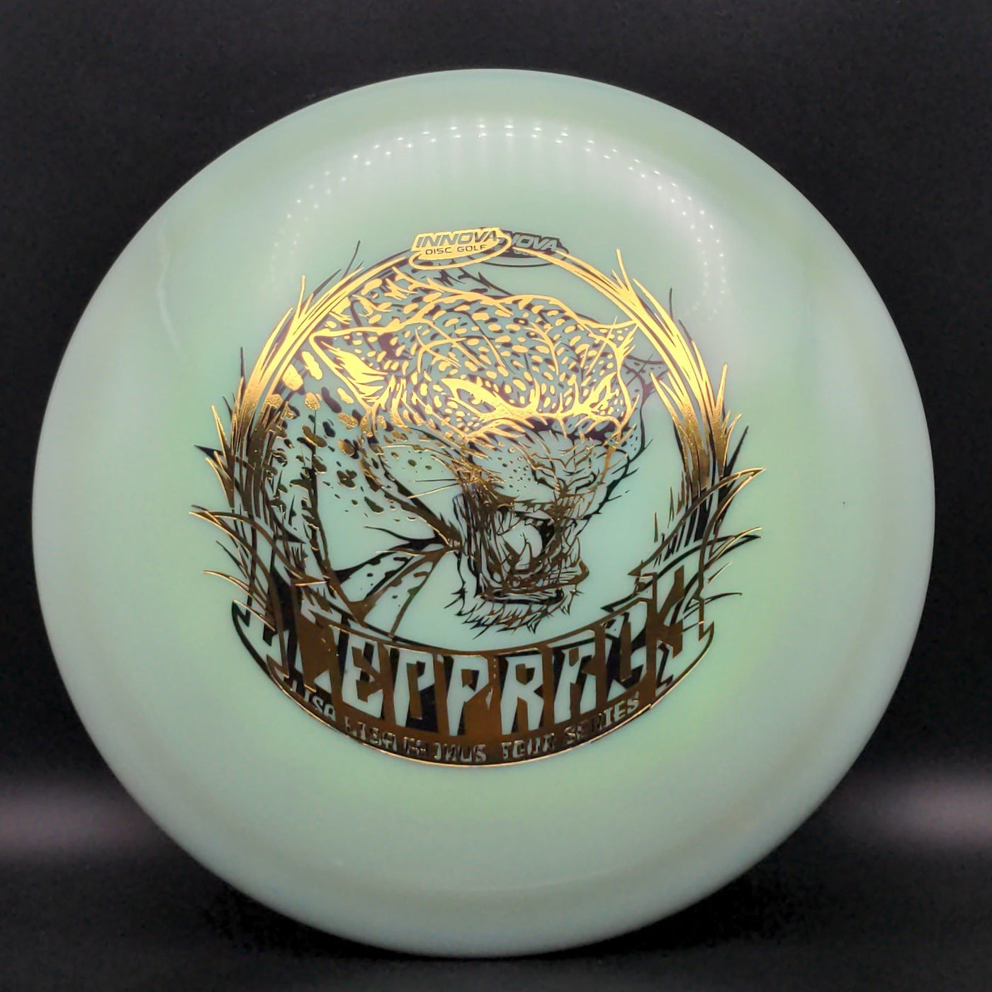 Swirly Star Leopard3 - Lisa Fajkus 2020 TS - X-Out Double Stamp