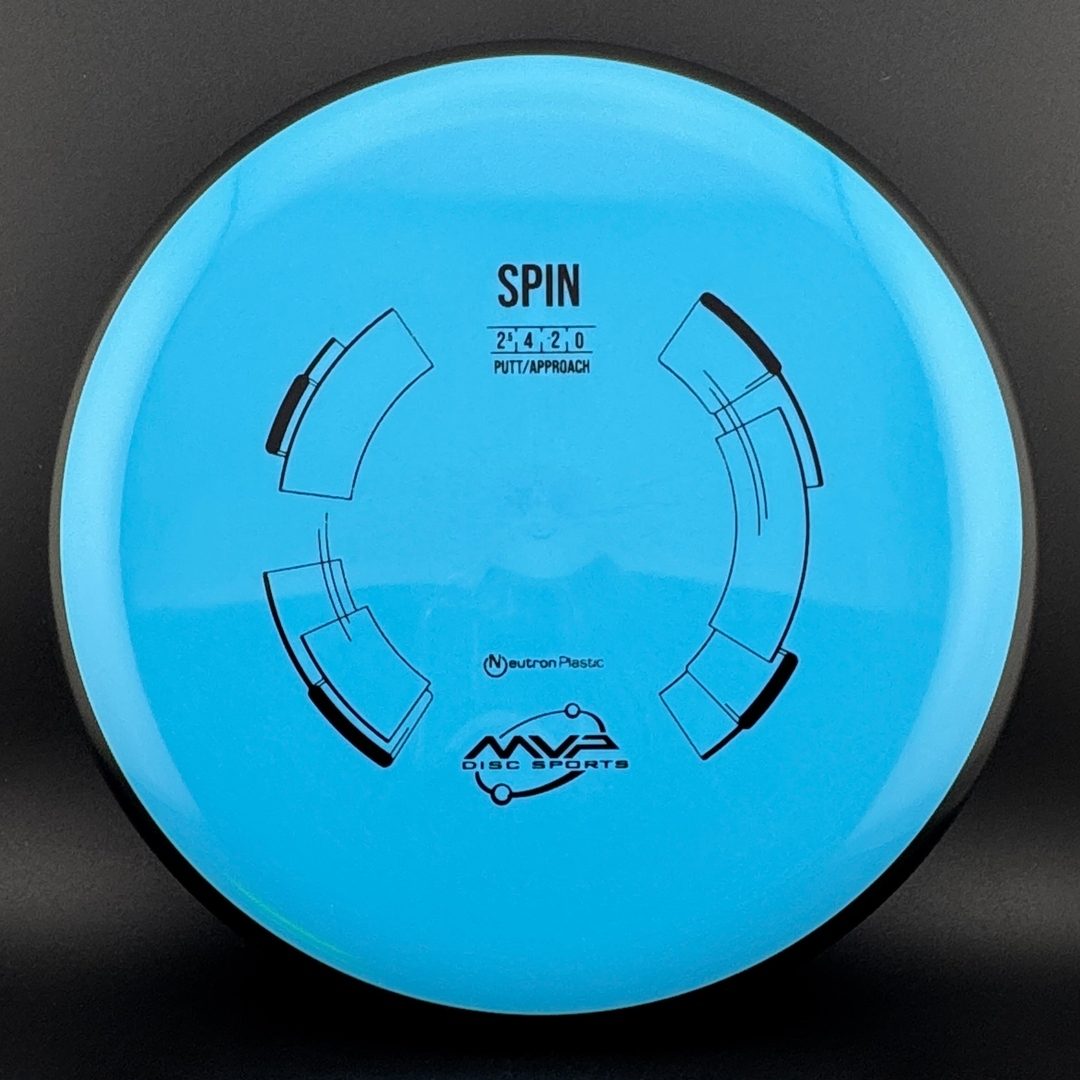 Neutron Spin