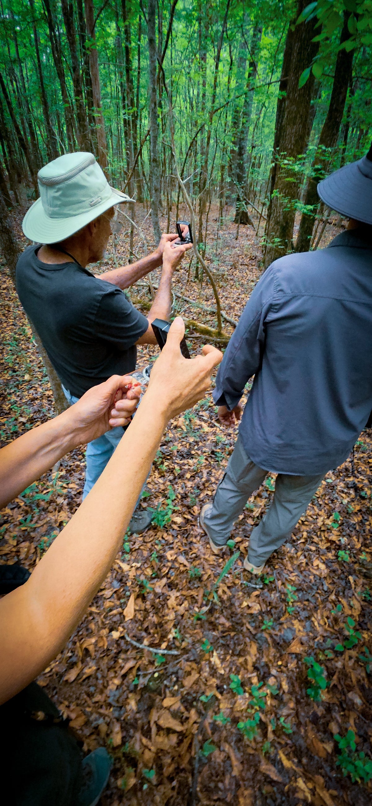 Woodland Survival 101