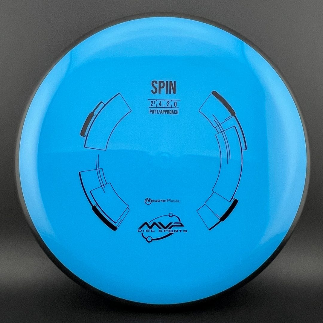 Neutron Spin