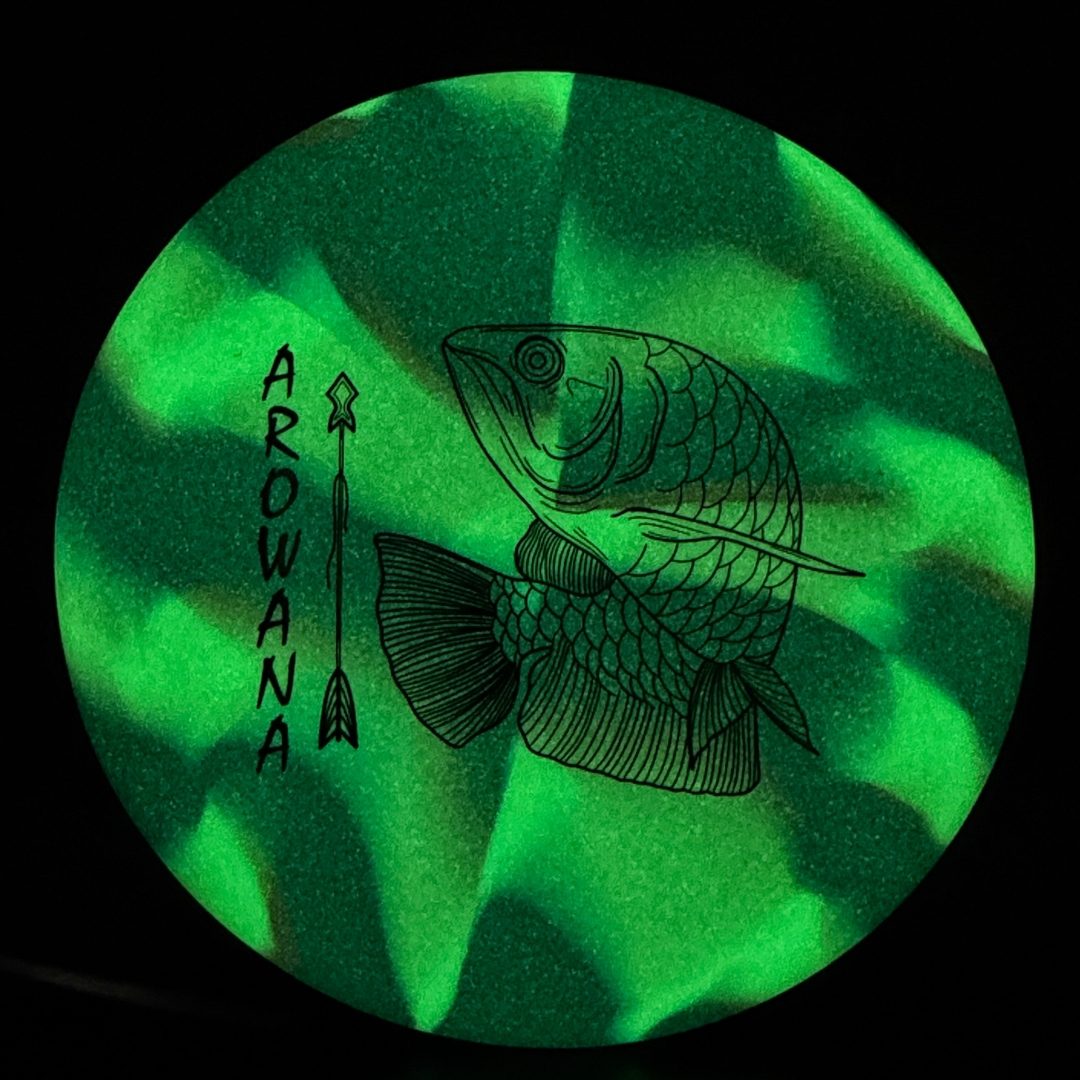 glO-G Arowana