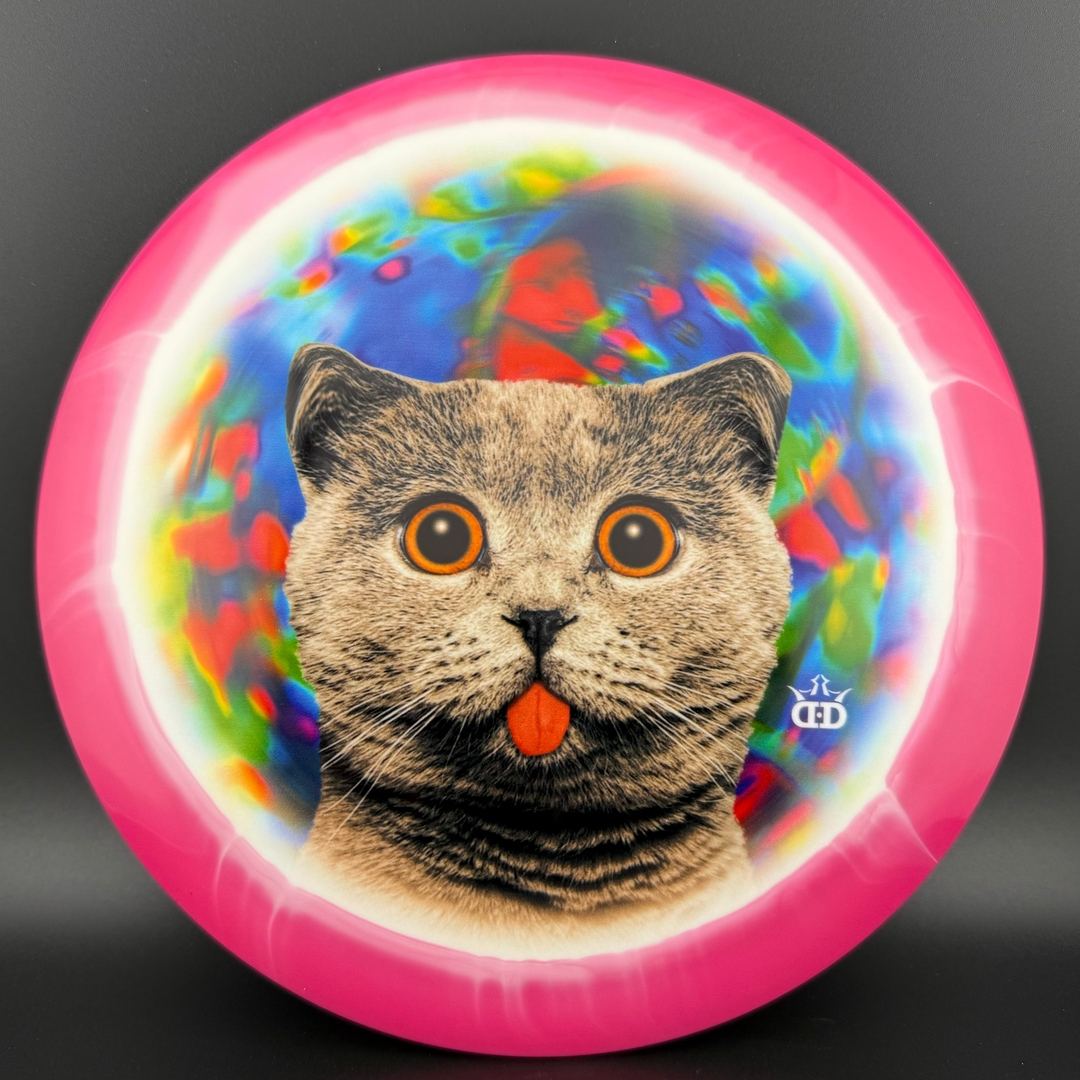 Fuzion Orbit Raider - DyeMax - Space Kitty Trippin