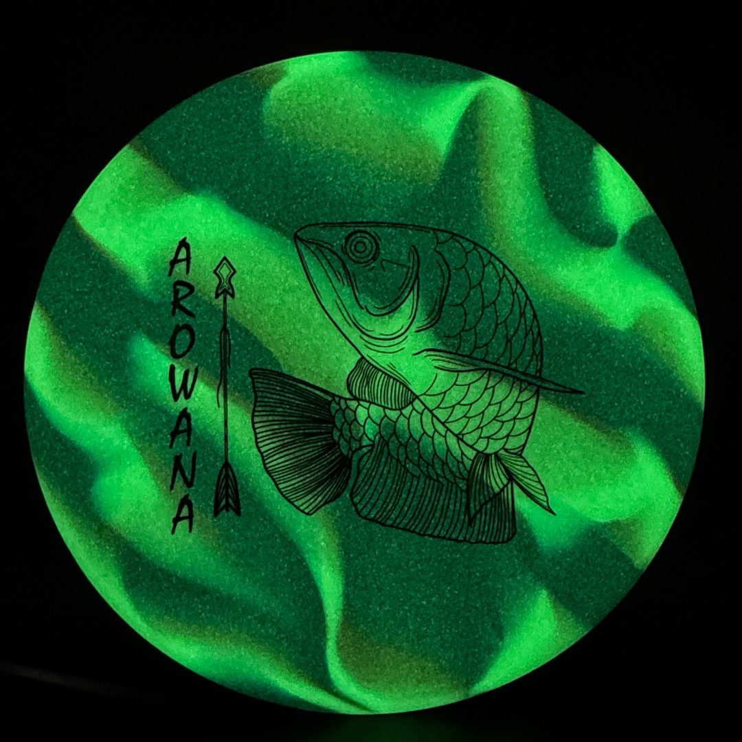 glO-G Arowana