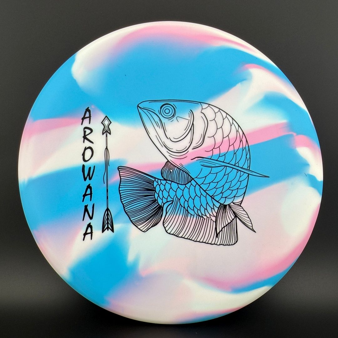glO-G Arowana