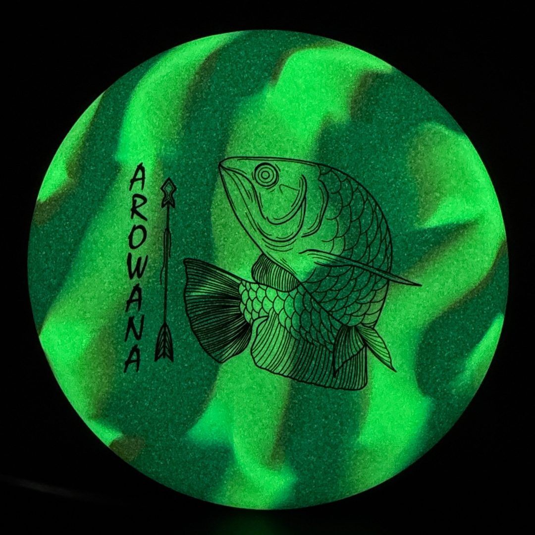 glO-G Arowana