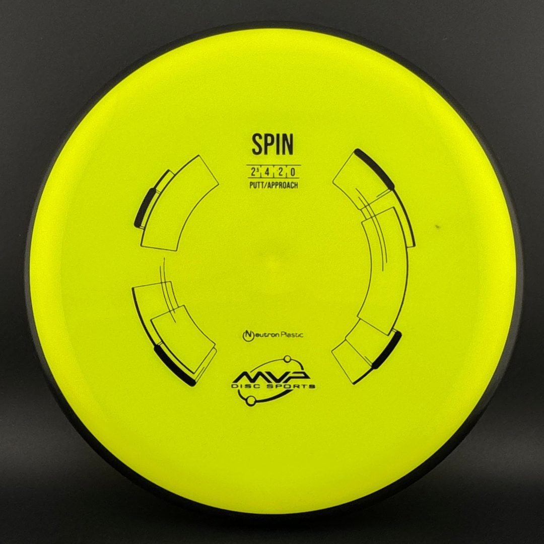 Neutron Spin