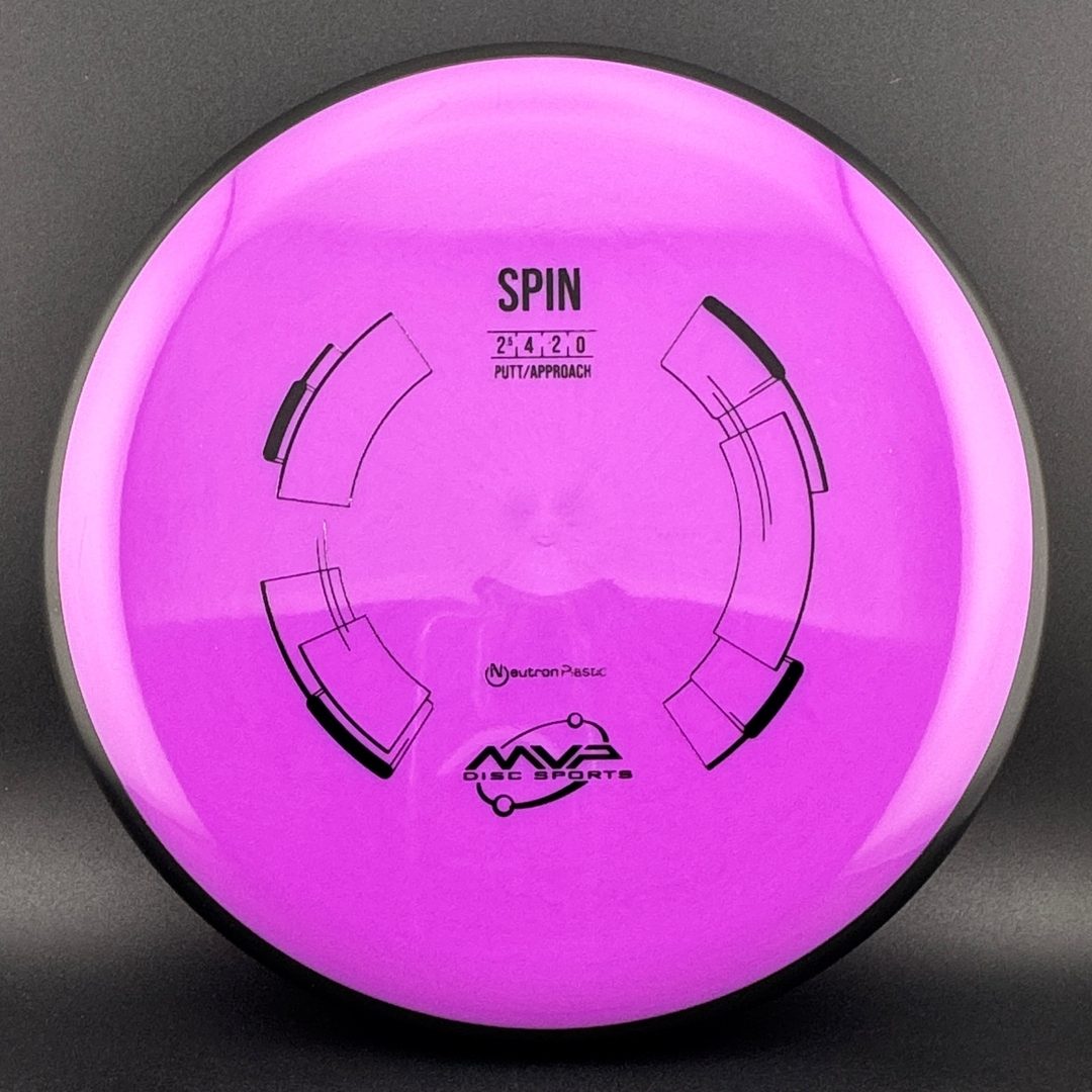 Neutron Spin