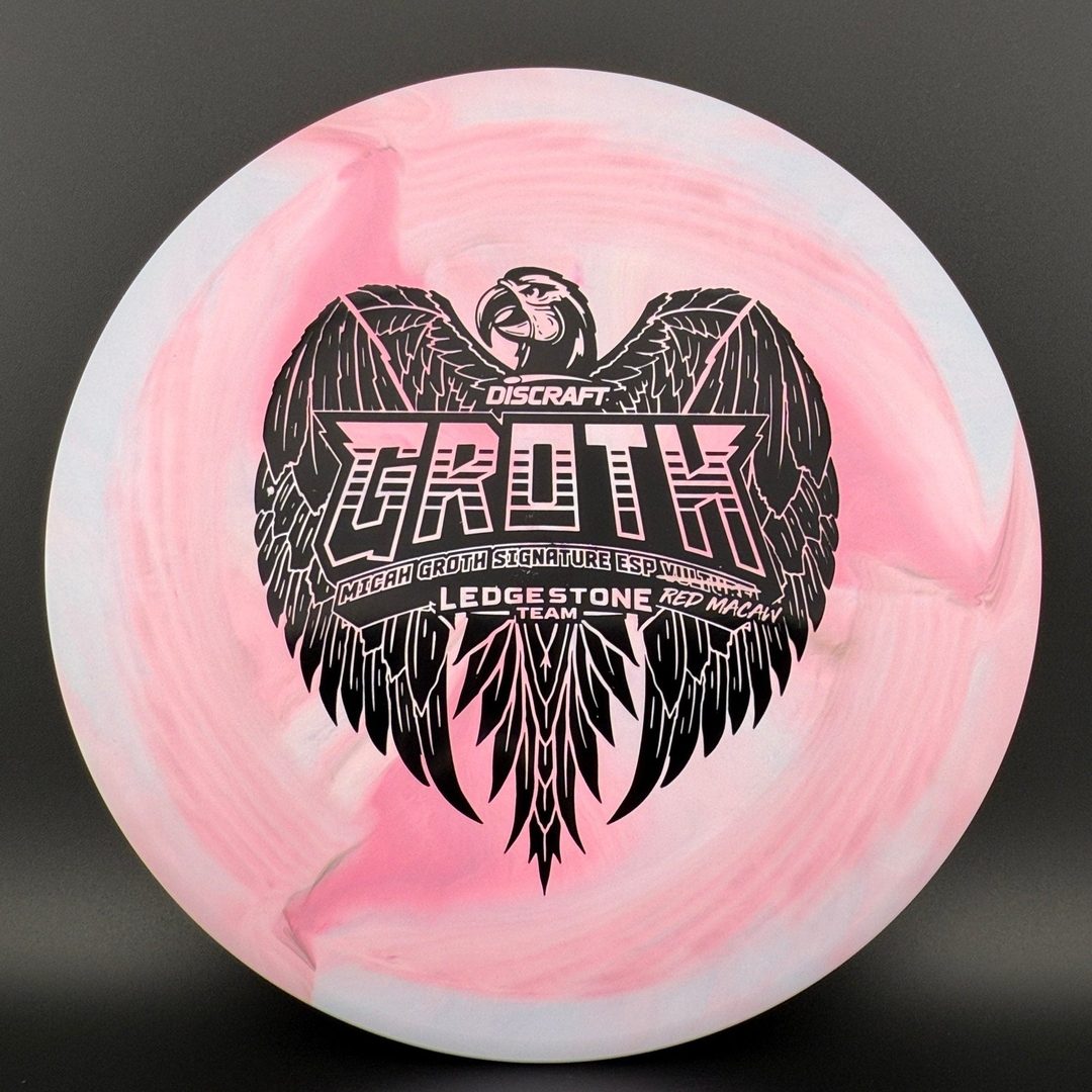 ESP Swirl Vulture - Micah Groth Team Ledgestone