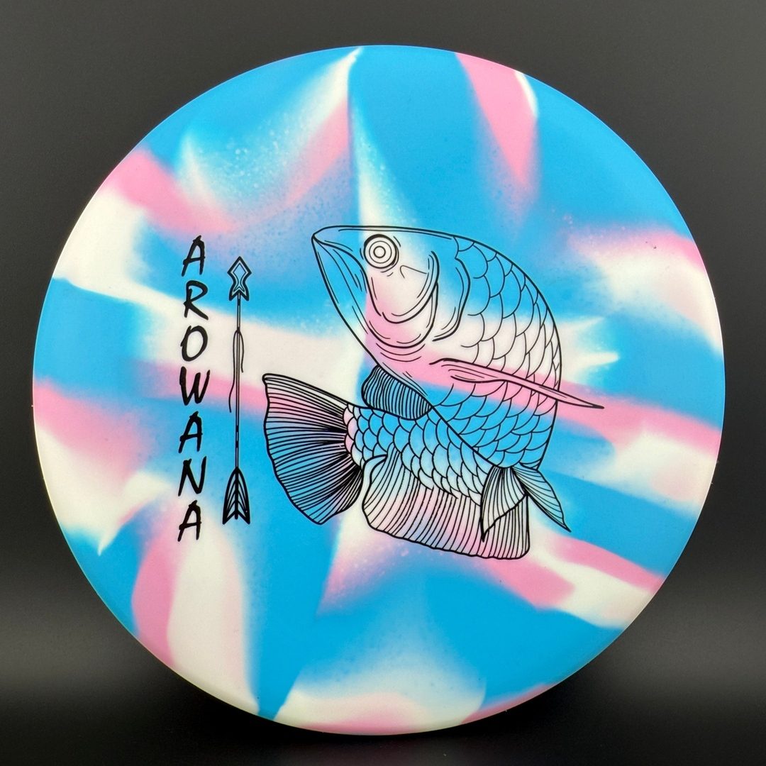 glO-G Arowana