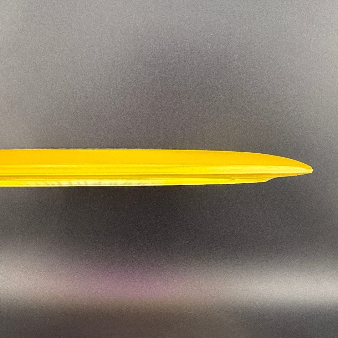 I-Dye Champion Tern
