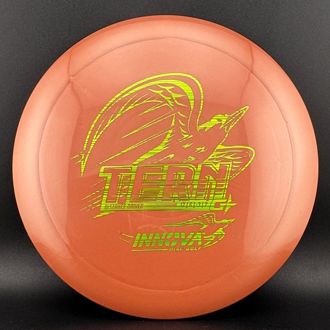 GStar Tern