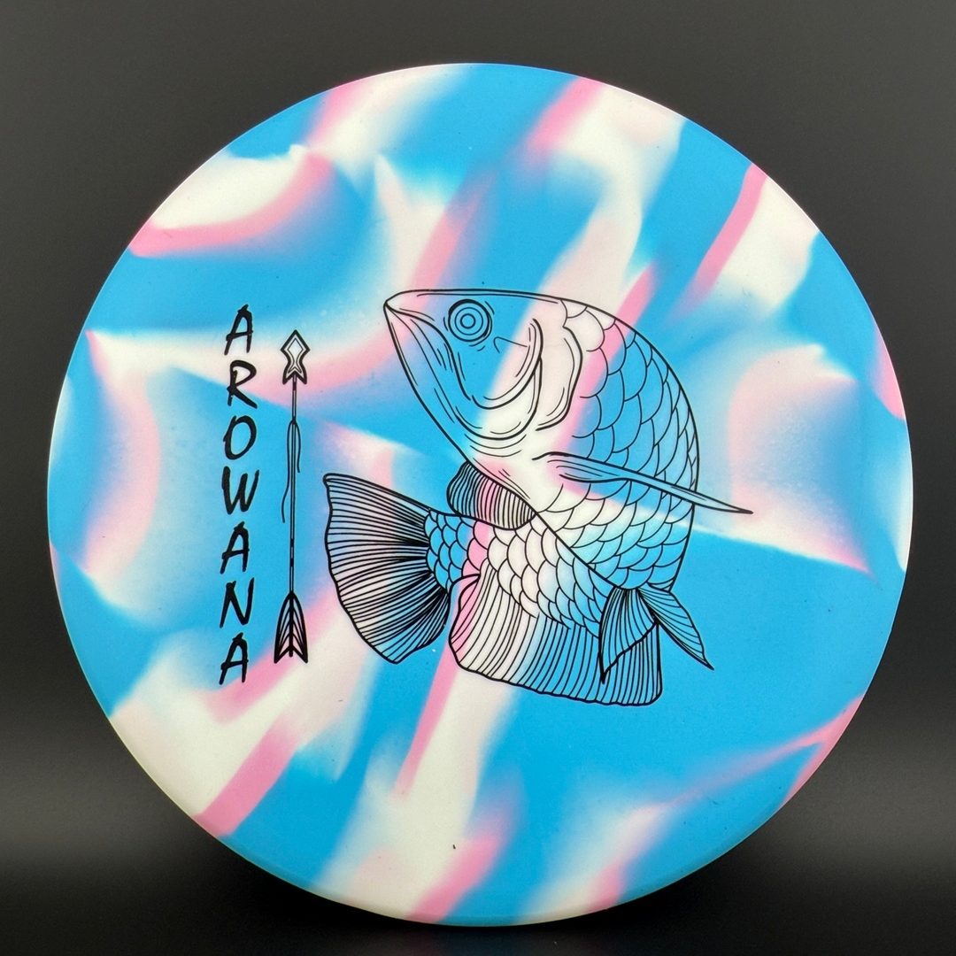 glO-G Arowana