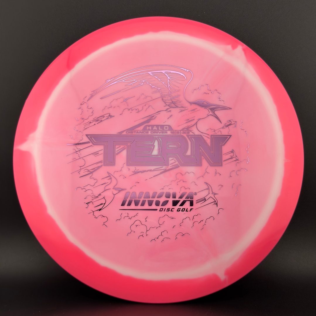 Halo Star Tern