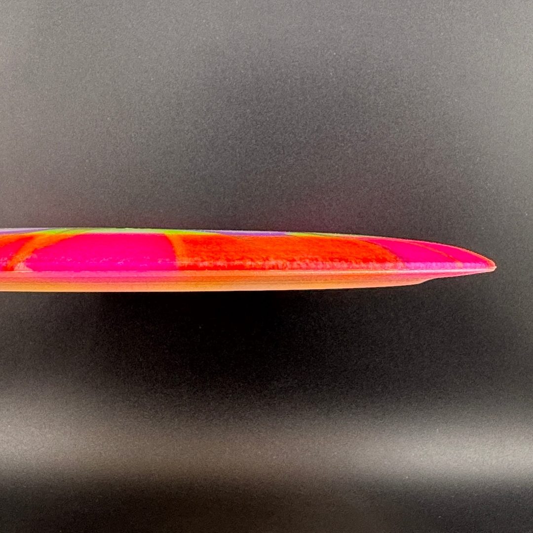 I-Dye Champion Tern