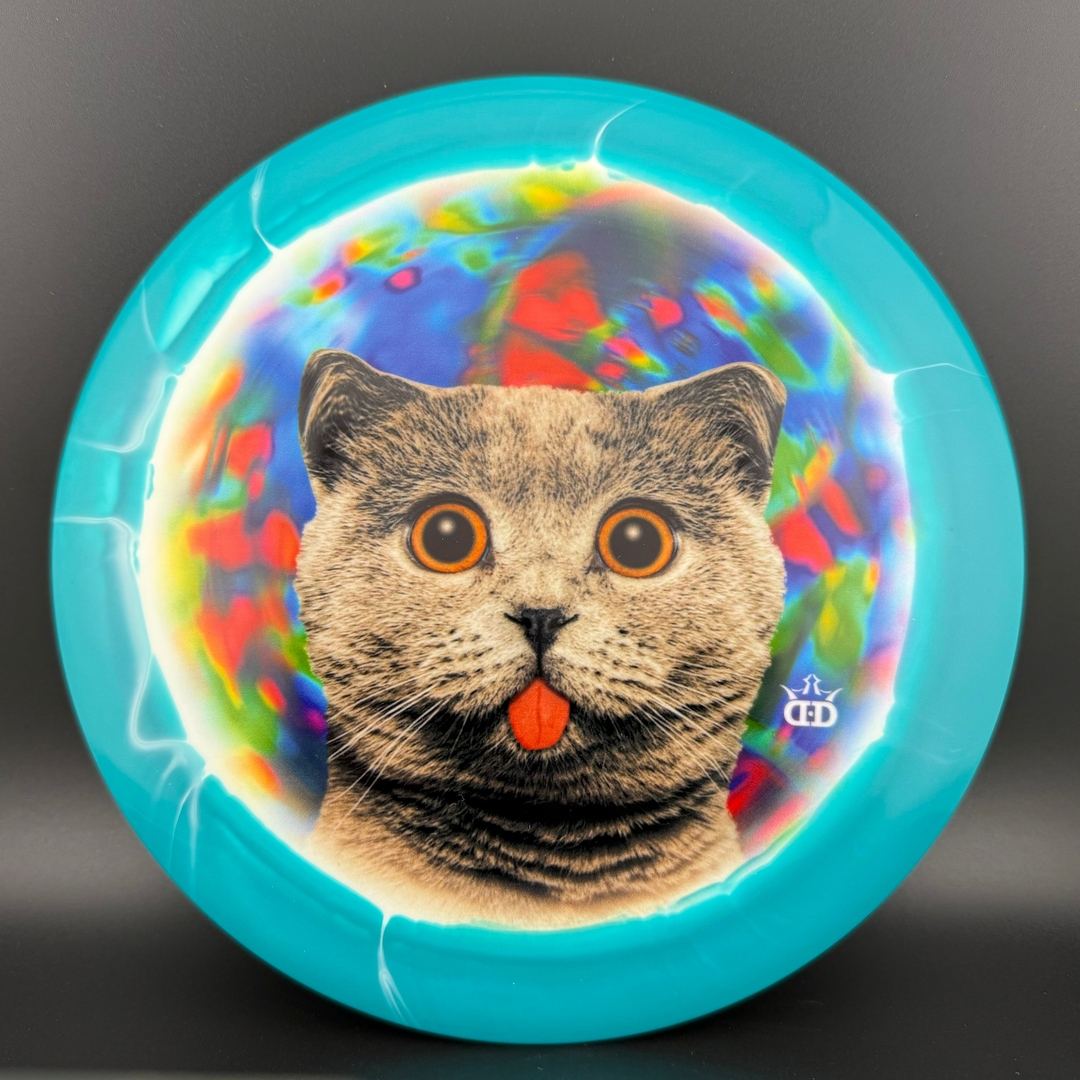 Fuzion Orbit Raider - DyeMax - Space Kitty Trippin