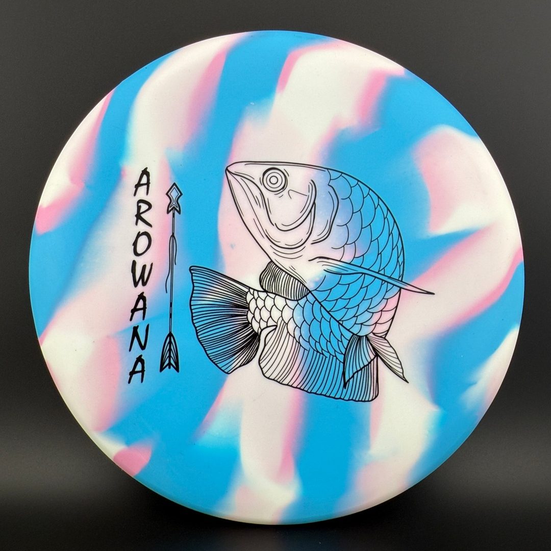 glO-G Arowana