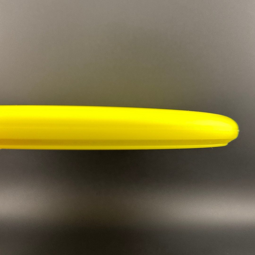 D-Line P2x (Flex 2) - Gannon Buhr Huk Lab Collaboration