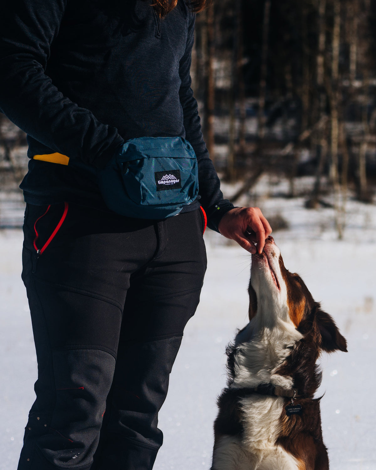 Timpanogos Trail Pack 2L (Alta/Retro Navy Orange)