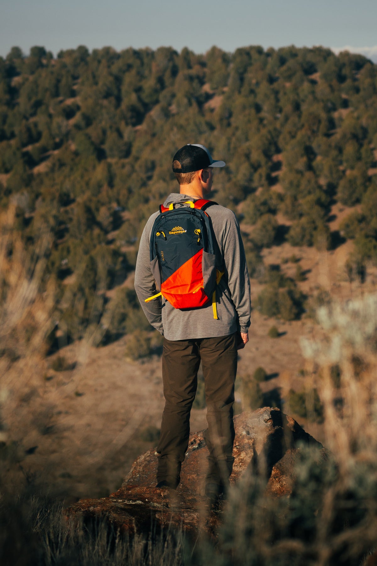 Timpanogos Elevation 22L Backpack (Alta)