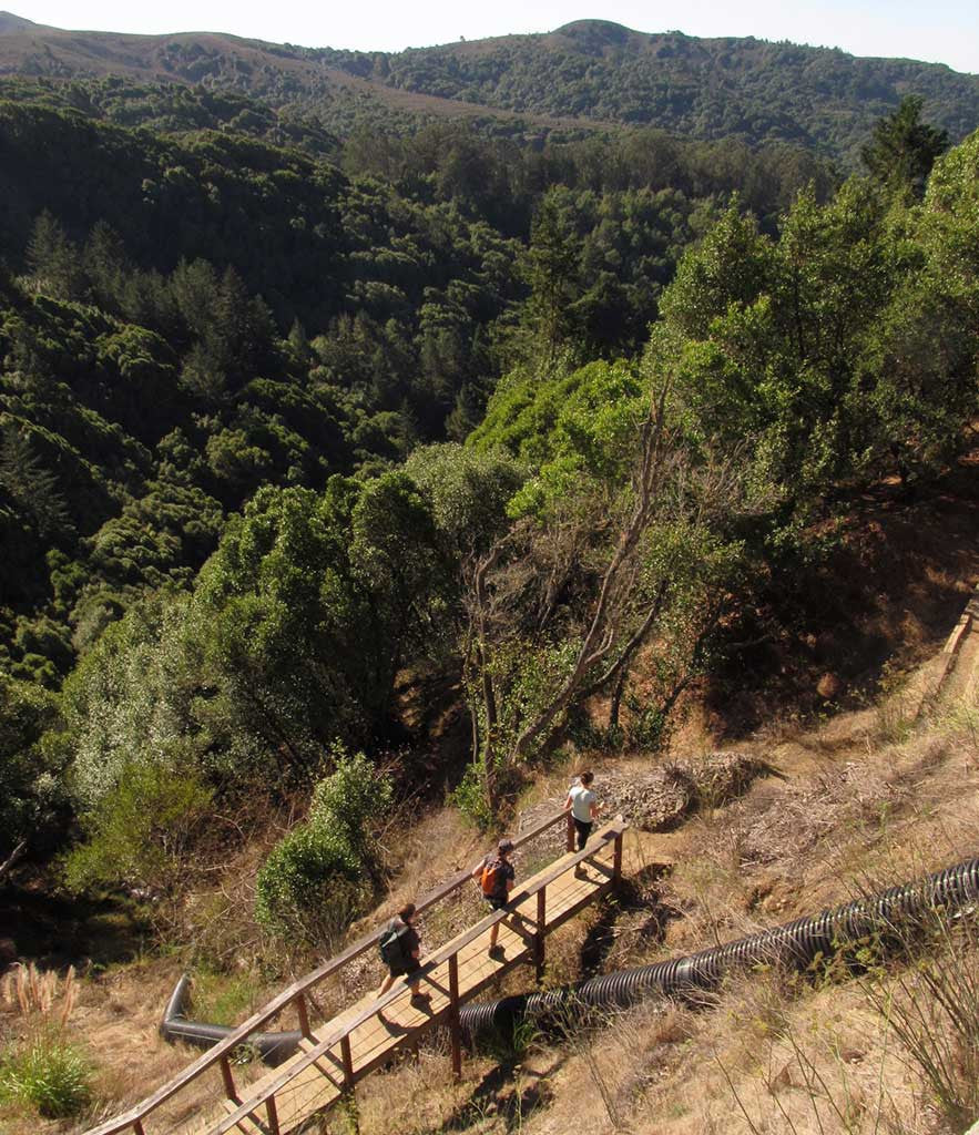 Mt. Tam