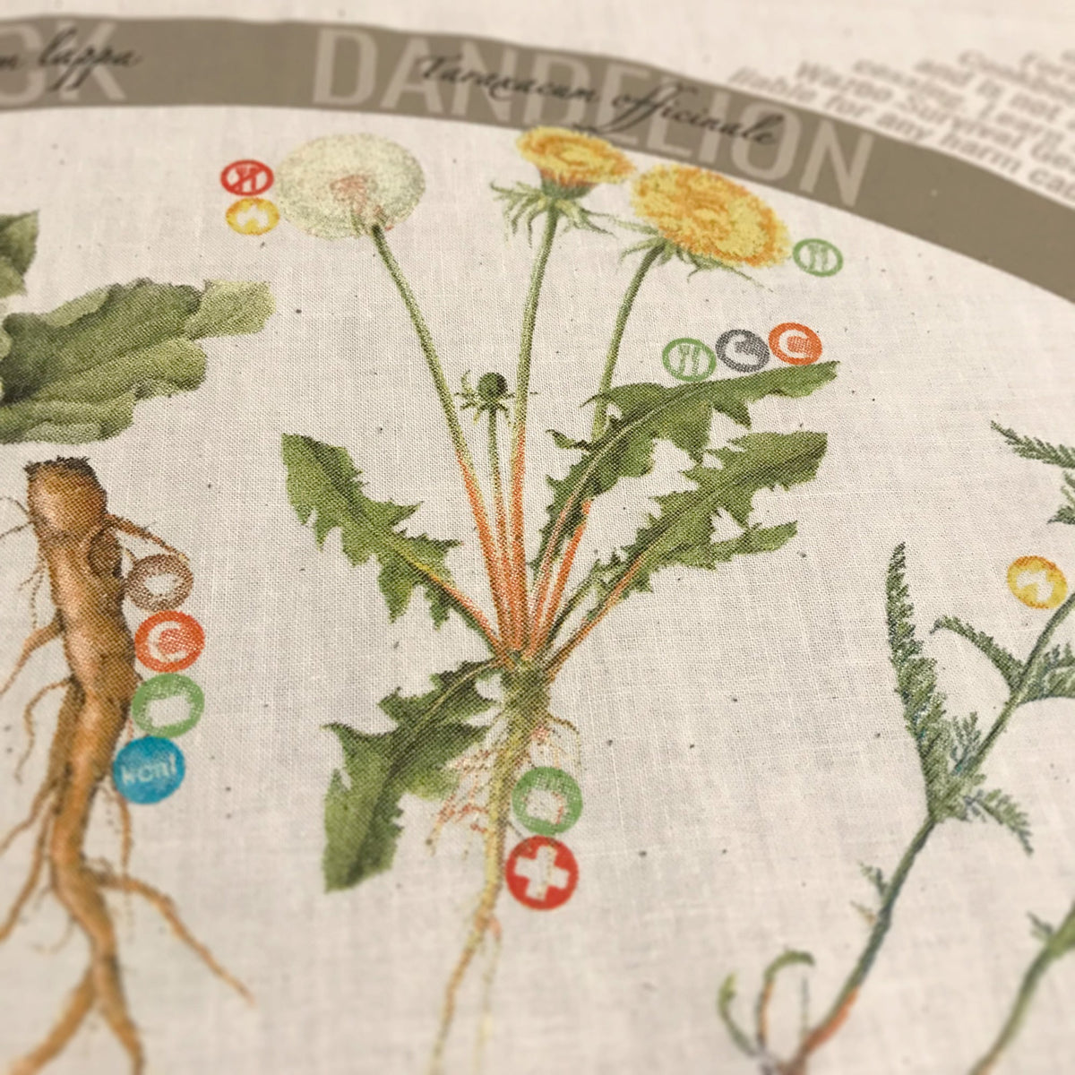 Foraging Bandana