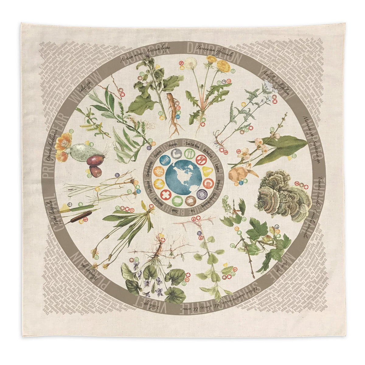 Foraging Bandana