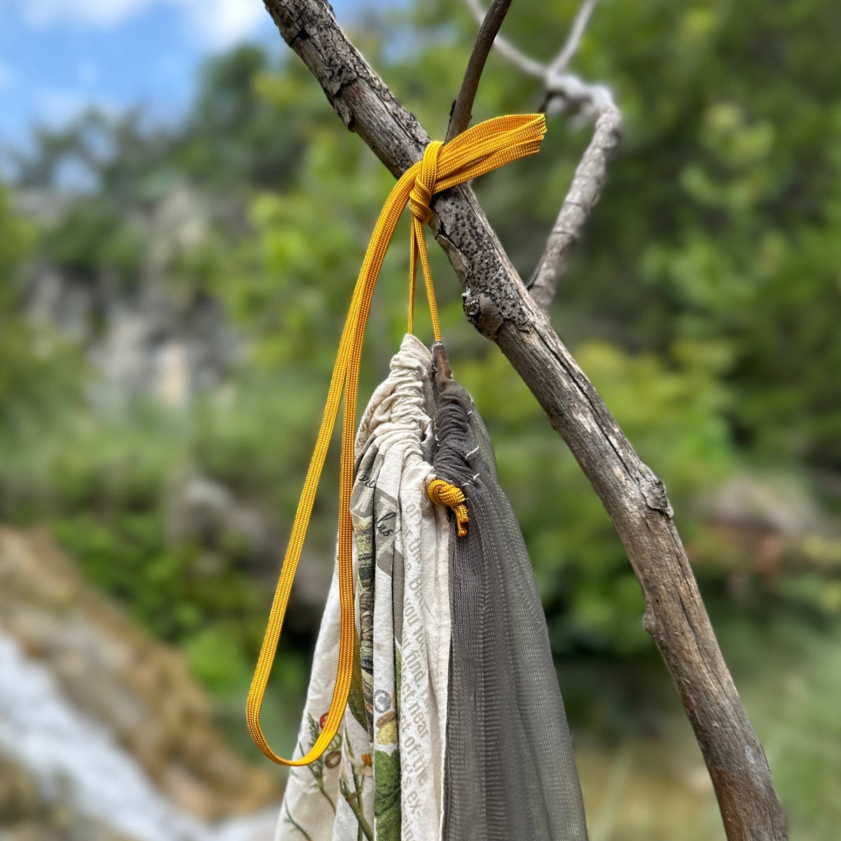 Foraging BandaNet