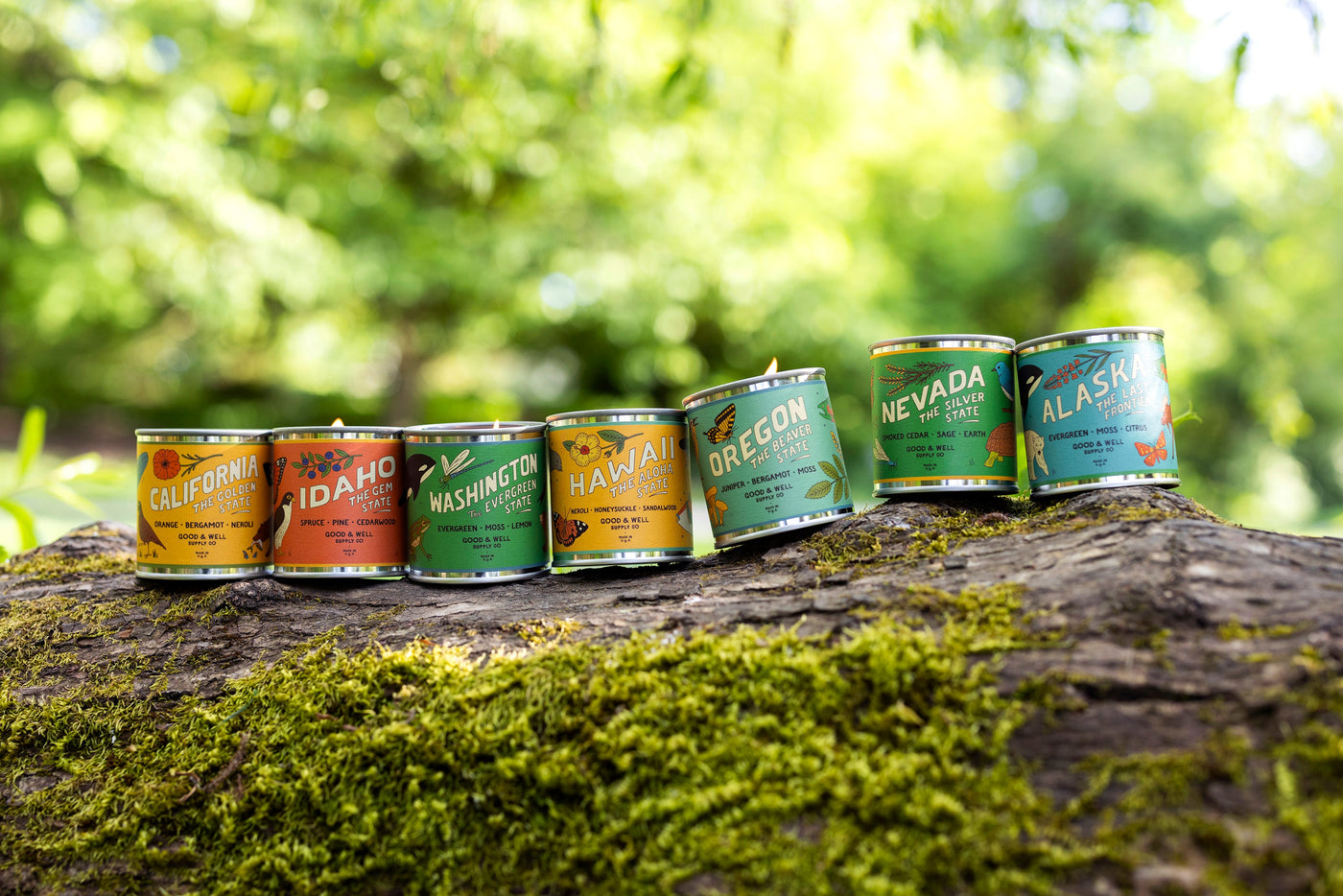 Illinois State Candle