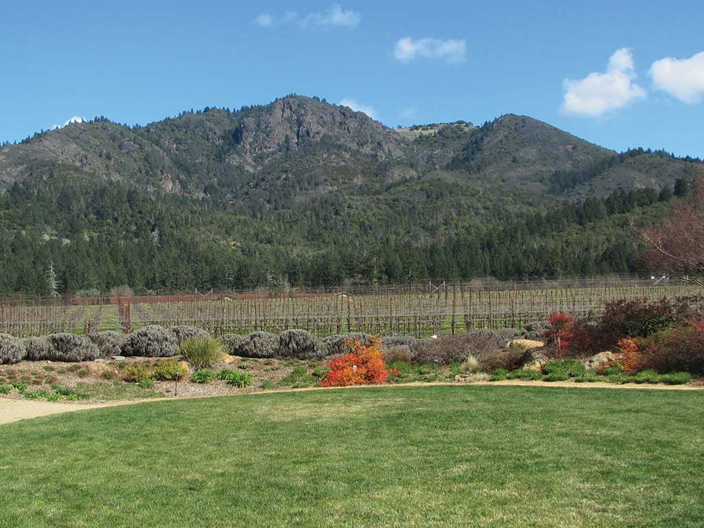 Sonoma Valley Trails