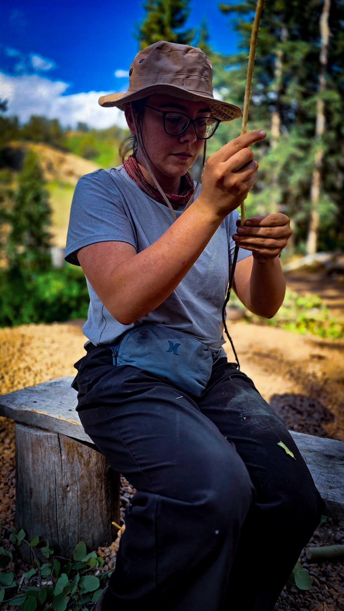 Woodland Survival 101