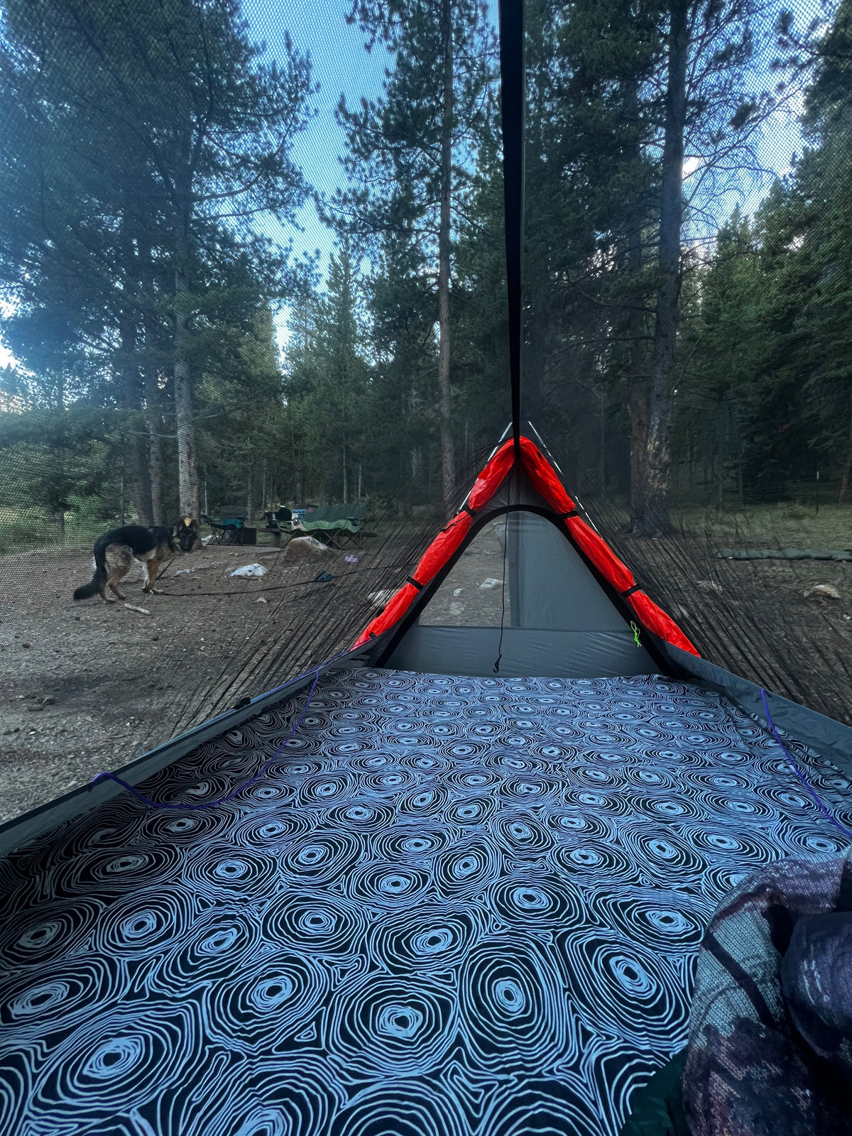 Sky View Duo Tent