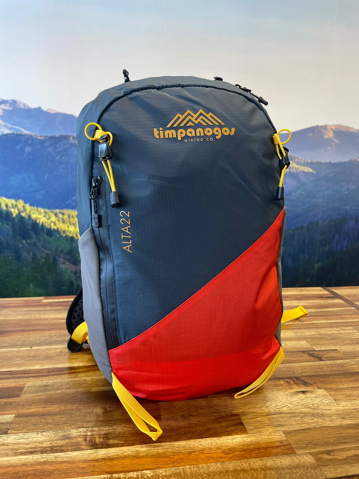 Timpanogos Elevation 22L Backpack (Alta)