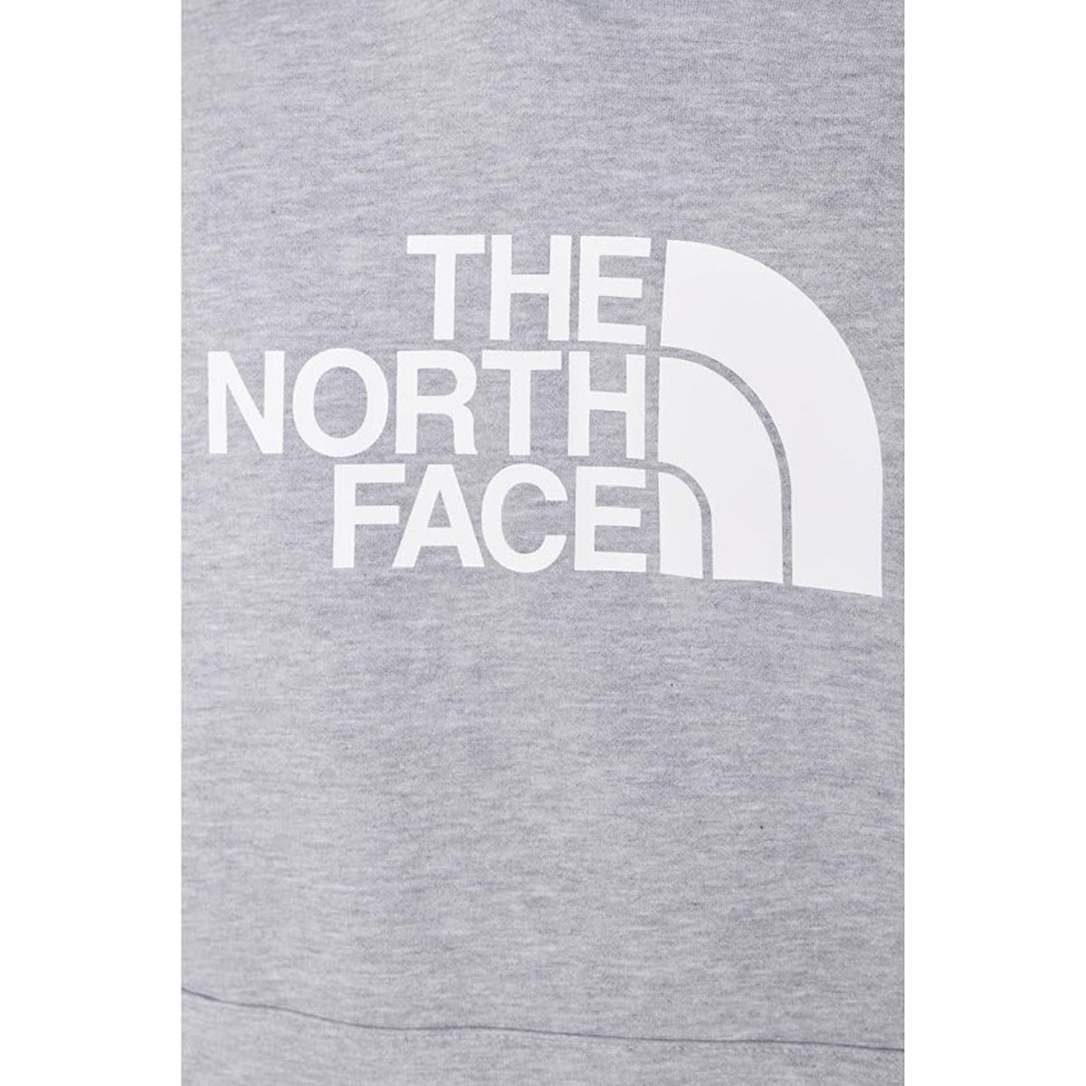 The North Face Men's Evolution Half Dome Hoodie
