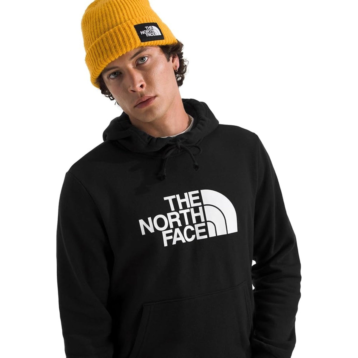 The North Face Men's Evolution Half Dome Hoodie