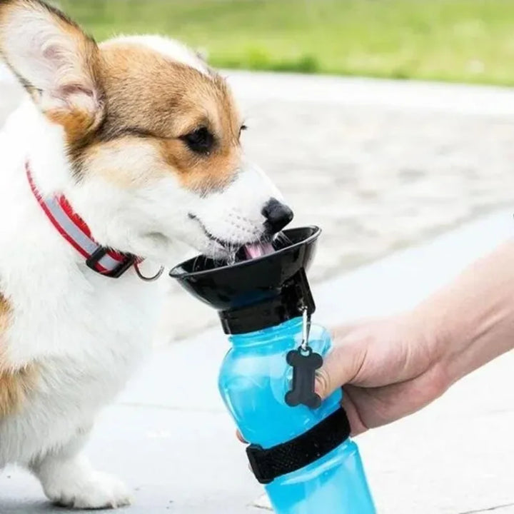 500ml Outdoor Portable Pet Water Bottle – Leakproof Dog & Cat Travel Cup with Drinking Bowl Feeder