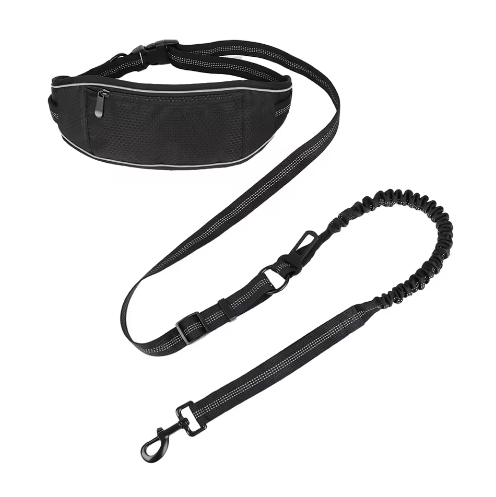 NEW! Timpanogos Trail Dog Combo (Bungee Leash and Pouch)