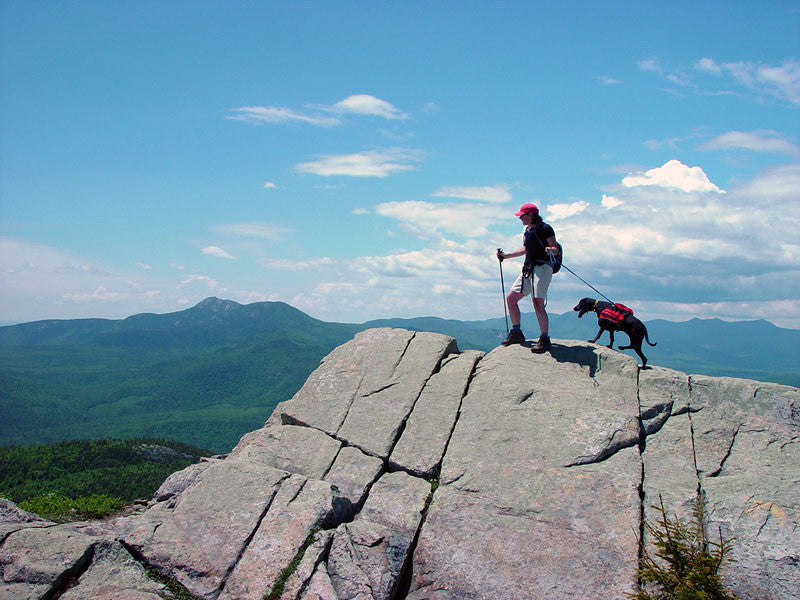 White Mountains