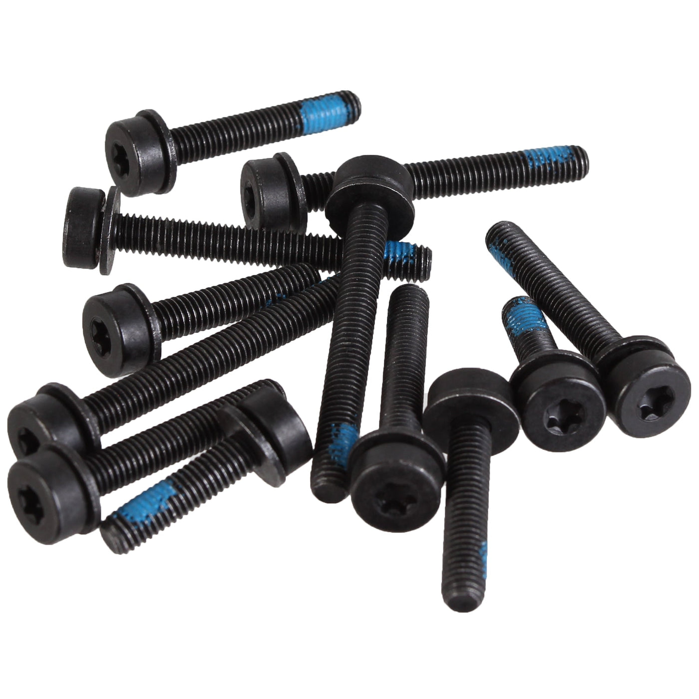 Magura T25 Flat Mount Screw Set Rear 12/Count Kit