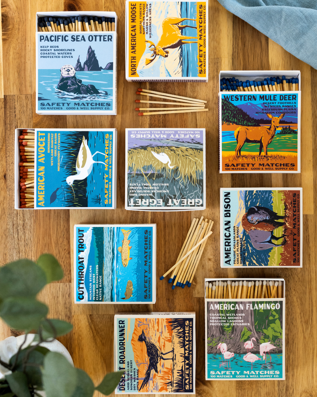 American Avocet Cabin Matches