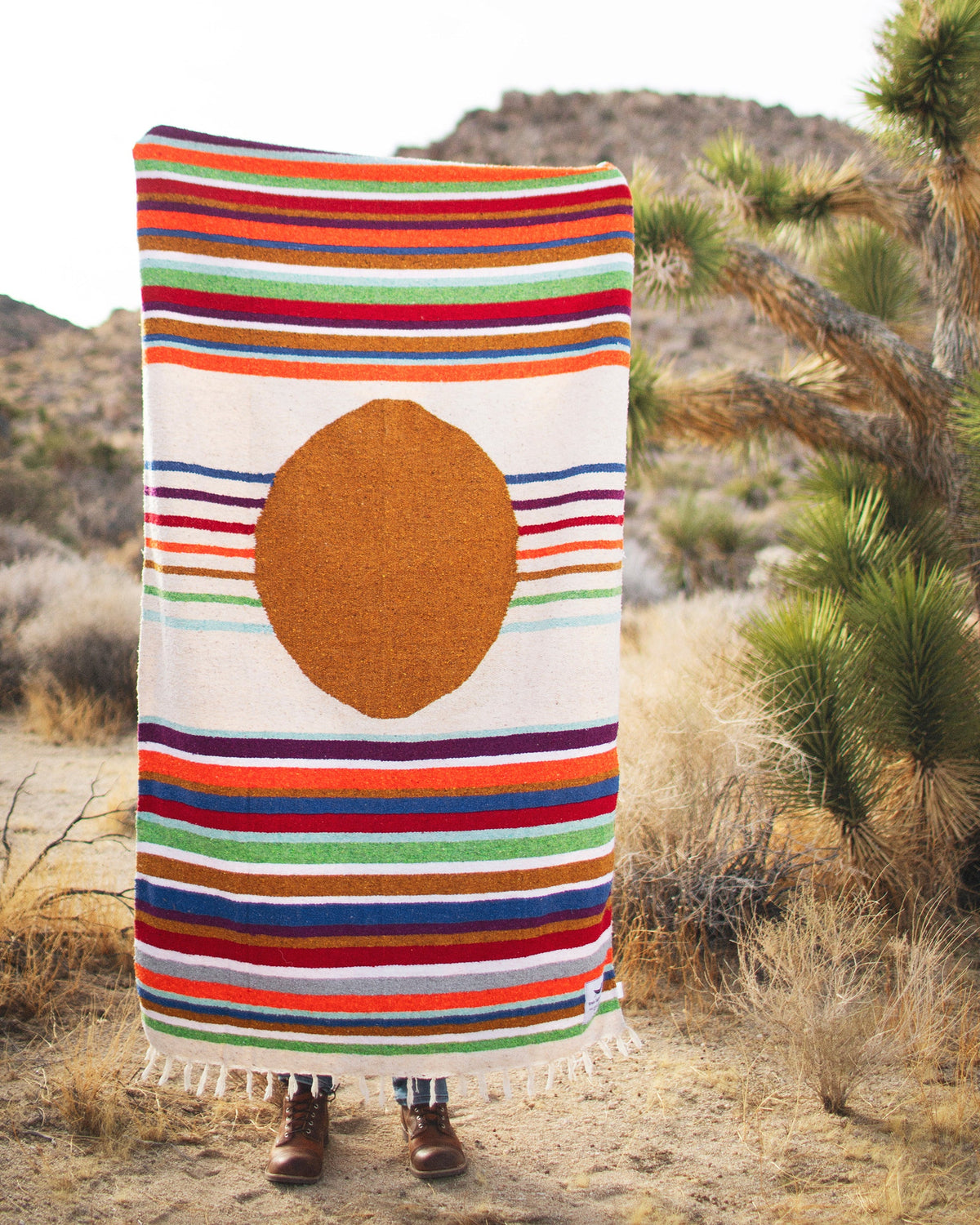 Halley's Comet Blanket