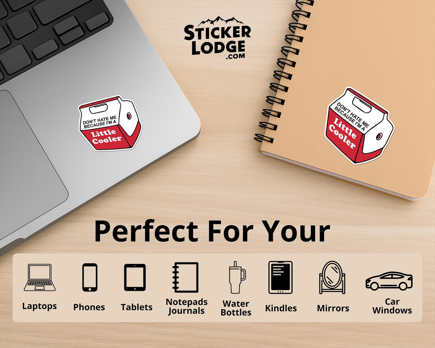 Don't Hate Me Because I'm A Little Cooler Vinyl Sticker