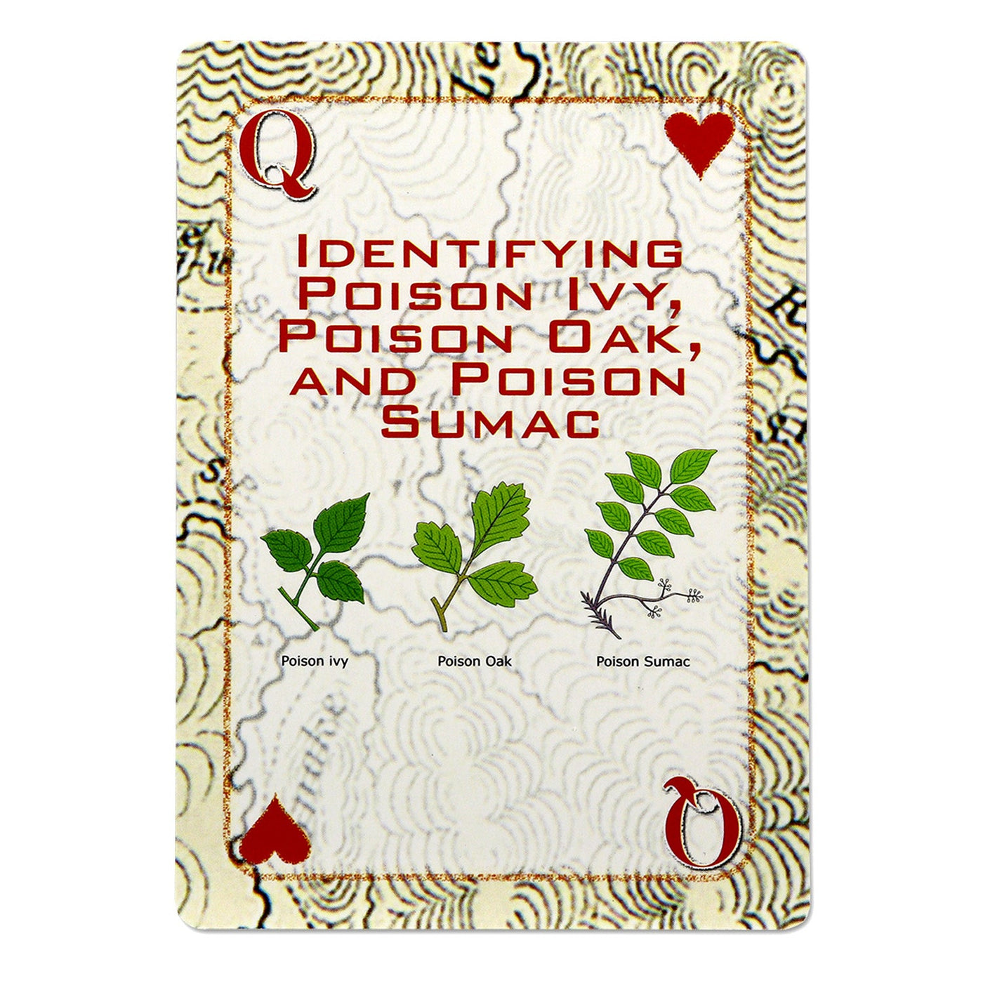 Quake Kits Survival Playing Cards | Essential Skills on Every Card
