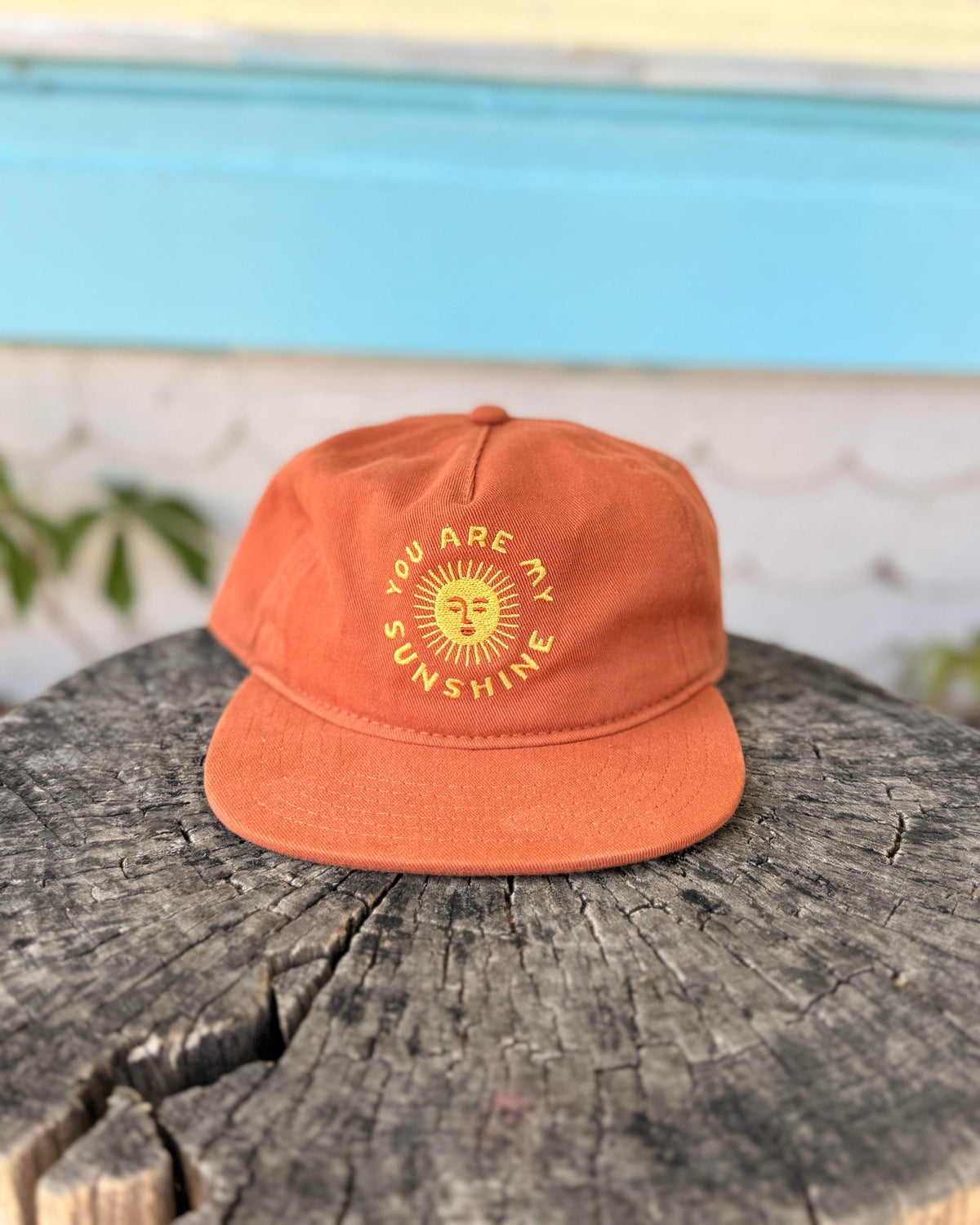 You Are My Sunshine Hat